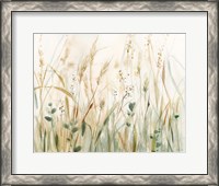 Framed In the Meadow