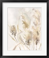 Light Pampas Grasses III Framed Print