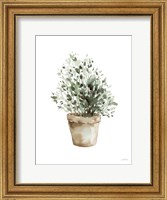 Framed Potted Herbs
