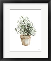 Framed Potted Herbs