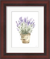 Framed Potted Lavender