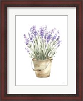 Framed Potted Lavender