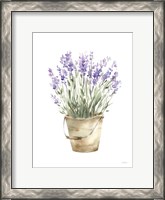 Framed Potted Lavender