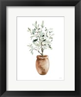 Framed Potted Olive Tree