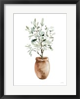 Framed Potted Olive Tree