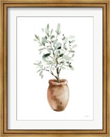 Framed Potted Olive Tree