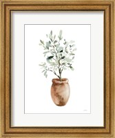 Framed Potted Olive Tree