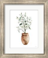 Framed Potted Olive Tree