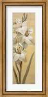 Framed Subtle Lily II