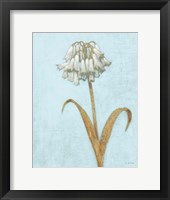 Shimmering Summer II REB Crop Framed Print