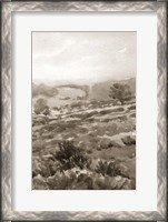 Framed Field of Flowers III Sepia