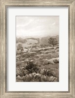 Framed Field of Flowers III Sepia