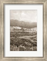 Framed Field of Flowers II Sepia