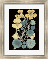 Framed Antique Botanical XVII Cool on Black