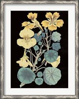 Framed Antique Botanical XVII Cool on Black