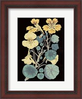 Framed Antique Botanical XVII Cool on Black