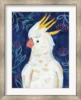 Framed Tropical Cockatoo