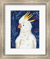 Framed Tropical Cockatoo