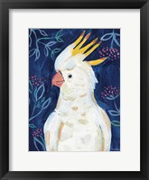 Framed Tropical Cockatoo