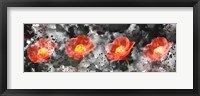 Framed Poppy Panel