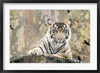 Framed Tiger Love