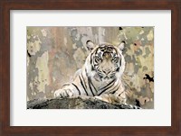 Framed Tiger Love