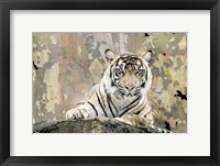 Framed Tiger Love