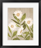 Framed Daisies 1