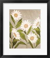 Daisies 2 Framed Print