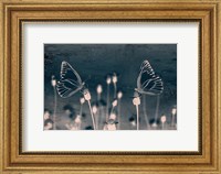 Framed Butterfly Love