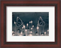 Framed Butterfly Love