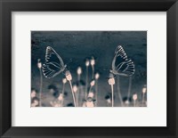 Framed Butterfly Love