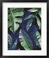 Tropic Palms 1 Framed Print
