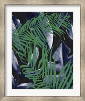 Framed Tropic Palms 2