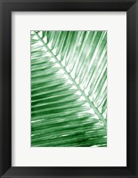 Framed Tropical 2