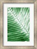 Framed Tropical 2