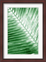 Framed Tropical 2