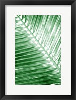 Tropical 2 Framed Print