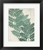 Framed Fern 1 Greens