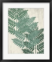 Fern 1 Greens Framed Print