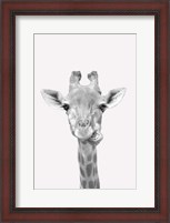 Framed Quirky Giraffes 2