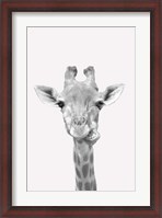 Framed Quirky Giraffes 2
