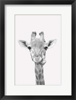 Framed Quirky Giraffes 2