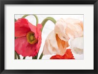 Framed Poppies