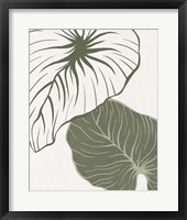 Serenity Palm 1 Framed Print