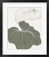 Serenity Palm 2 Framed Print