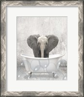 Framed Baby Elephant Bath