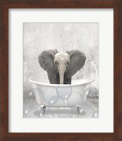 Framed Baby Elephant Bath