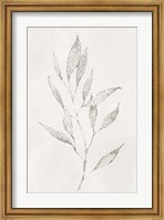 Framed Spotted Botanical 2