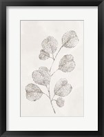Spotted Botanical 3 Framed Print